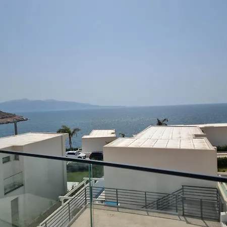 Palmera - Palmera Sarande