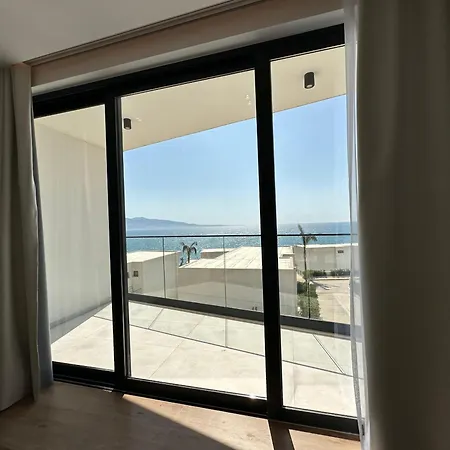 Palmera - Palmera Sarande