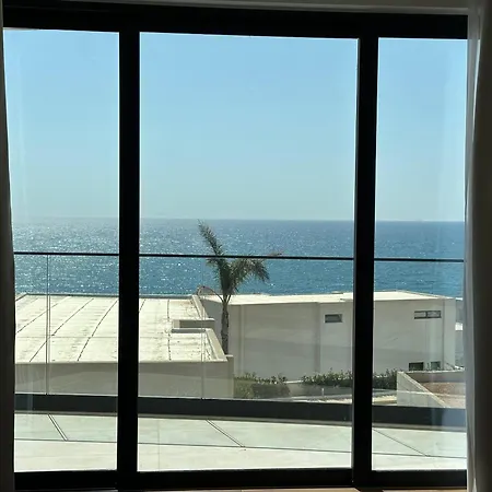 Palmera - Palmera Sarande
