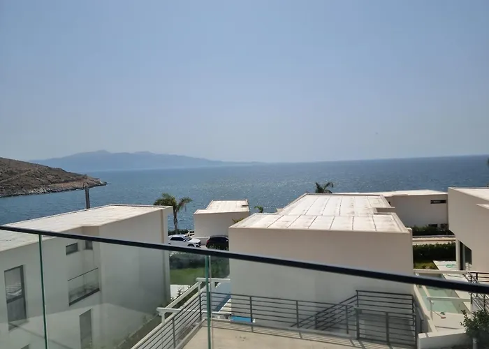 Palmera - Palmera Sarandë