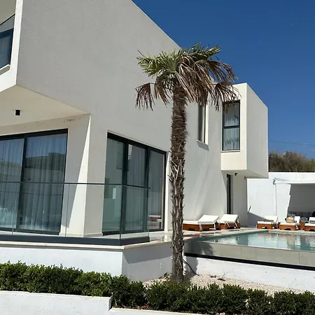 Palmera - Palmera *