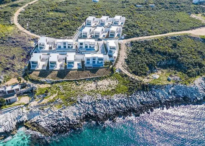 Palmera - Palmera Saranda