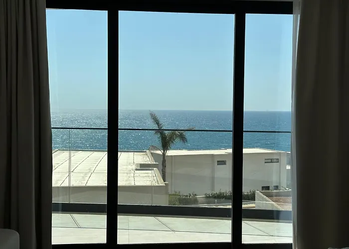 Palmera - Palmera Saranda